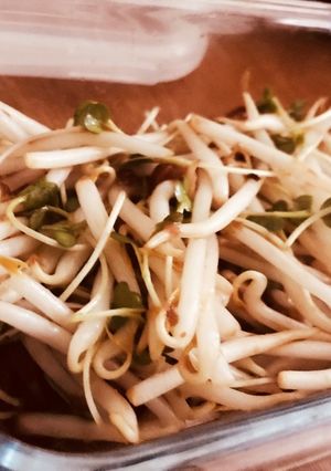 もやしとかいわれ大根の梅だしサラダ-レシピのメイン写真