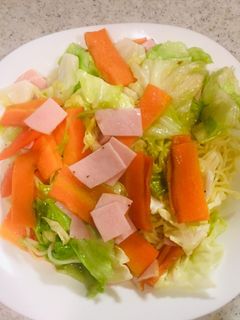 手作り塩焼きそば-レシピのメイン写真