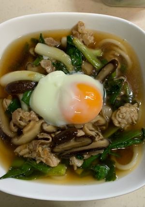 青ネギの肉うどん-レシピのメイン写真