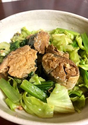 レンジ★さば味噌煮缶で簡単★野菜煮-レシピのメイン写真