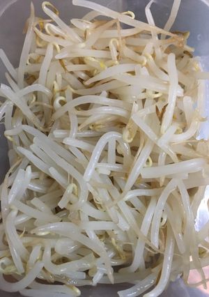 逝きそうなもやしは一回茹でるといいですよ-レシピのメイン写真