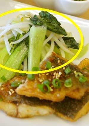 チンゲン菜ともやしの炒め物-レシピのメイン写真