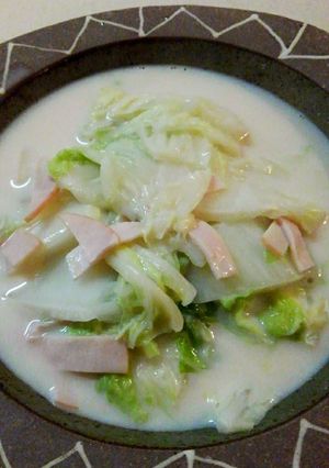 白菜の牛乳スープ煮-レシピのメイン写真