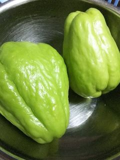 ハヤトウリのサバ缶煮-レシピのメイン写真