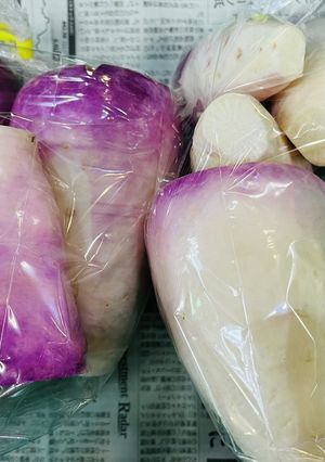 羽広かぶの粕漬け-レシピのメイン写真