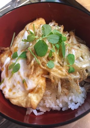 もやしと卵の天丼-レシピのメイン写真