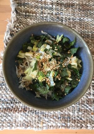 簡単ランチ 薬味とシラスのご飯-レシピのメイン写真