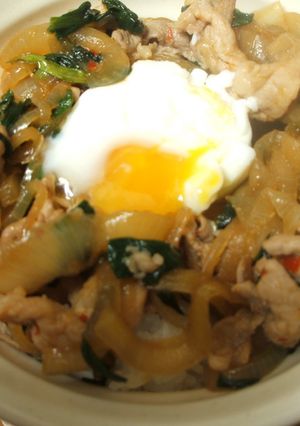 スタミナ豚丼！でもお肉ひかえめ☆-レシピのメイン写真