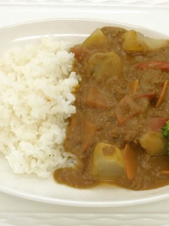冬瓜のカレーライス-レシピのメイン写真