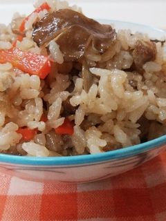 ☆簡単鳥ゴボウ舞茸炊き込みご飯☆-レシピのメイン写真