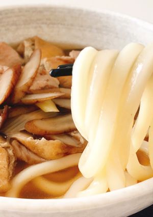 柔らか鶏胸肉とごぼうの旨味だしうどん-レシピのメイン写真