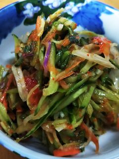 余り野菜のさっぱり和風ソムタム-レシピのメイン写真