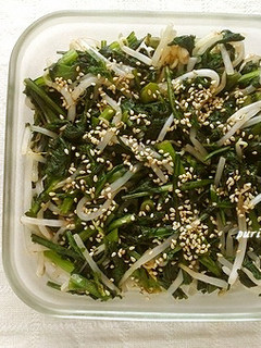 レンジで簡単！春菊ともやしの豆板醤和え-レシピのメイン写真