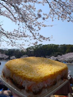 簡単押し寿司-レシピのメイン写真