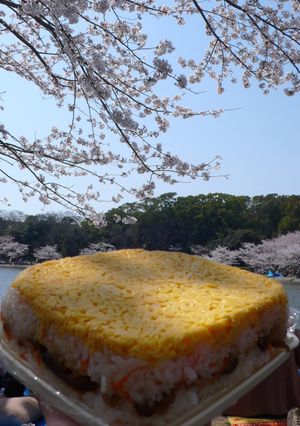 簡単押し寿司-レシピのメイン写真