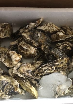 超簡単ラクラク 牡蠣のレンジ蒸し-レシピのメイン写真