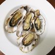 殻付き牡蠣を簡単に開ける方法