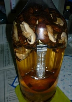 酢椎茸で椎茸酒-レシピのメイン写真