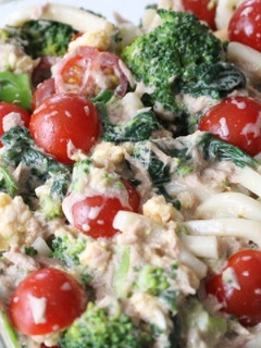節約サラダうどん-レシピのメイン写真