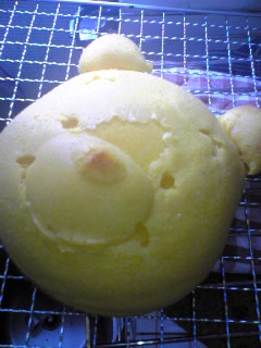 シュワとろ〜んとろける南瓜ケーキ-レシピのメイン写真