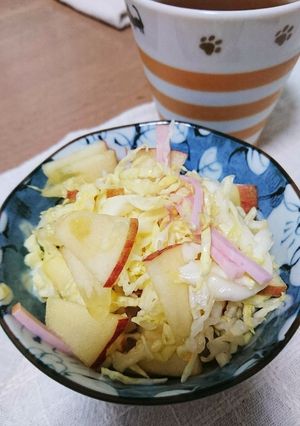 簡単！子供大好きキャベツとりんごのサラダ-レシピのメイン写真