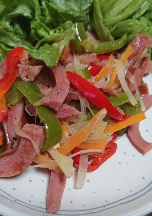 塩胡椒味✨細切り五目野菜炒め-レシピのメイン写真