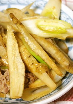 豚・葱・牛蒡の醤油、味醂で炒めたん-レシピのメイン写真