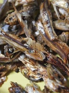 出汁を取った煮干し 捨てるべからず-レシピのメイン写真