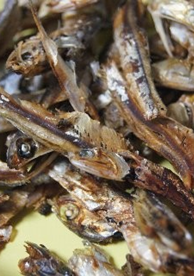 出汁を取った煮干し　捨てるべからず-レシピのメイン写真