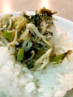 しらすと高菜、大根の葉のふりかけ-レシピのメイン写真