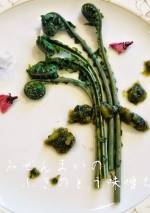 こごみぜんまいのふきのとう味噌ちらし♡-レシピのメイン写真