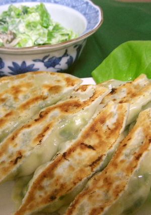 豆腐餃子（健康食）-レシピのメイン写真