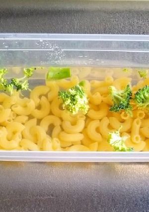 電子レンジで✿ペンネの茹で方-レシピのメイン写真