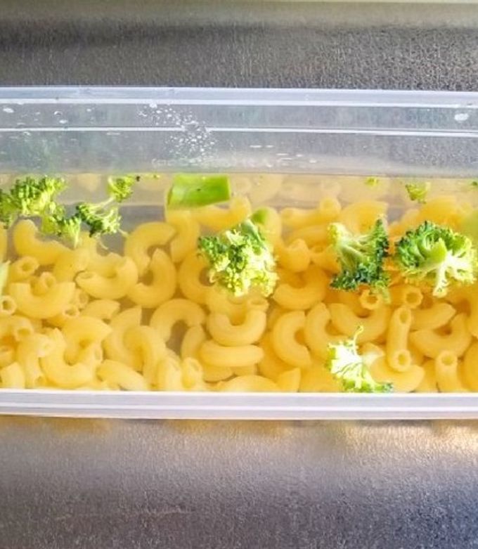 電子レンジで✿ペンネの茹で方-レシピのメイン写真