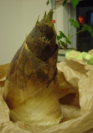 竹の子の茹で方-レシピのメイン写真