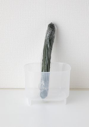 きゅうりの保存と下処理方法-レシピのメイン写真