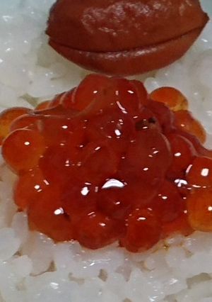 美味しい✨自家製筋子の醤油漬け-レシピのメイン写真