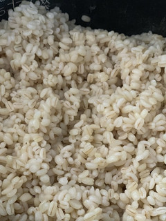 炊飯器で簡単美味しい!もち麦10割ごはん-レシピのメイン写真