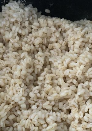 炊飯器で簡単美味しい！もち麦10割ごはん-レシピのメイン写真