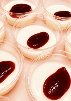 レアチーズ風★カルピスヨーグルトゼリー-レシピのメイン写真
