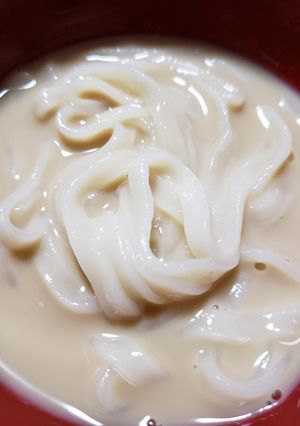 入れるだけ　めんつゆ　豆乳　うどん-レシピのメイン写真