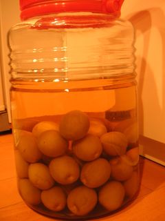 果実酒☆梅酒-レシピのメイン写真