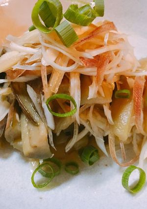 みょうがと長葱のナスの煮びたし-レシピのメイン写真