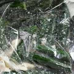 รูปของ キュウリ粕漬け