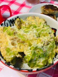 キャベツとひき肉の卵とじ丼-レシピのメイン写真