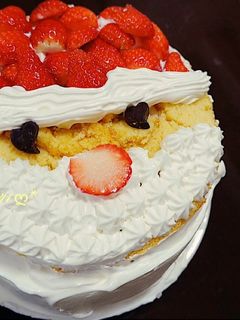 サンタケーキ-レシピのメイン写真