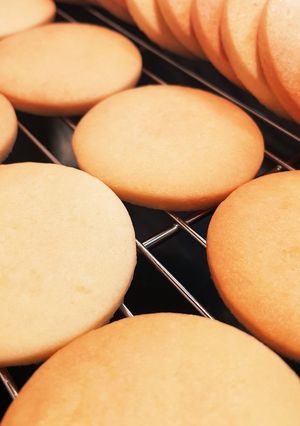 プレーンクッキー-レシピのメイン写真