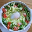ダイエット用キャベツランチ