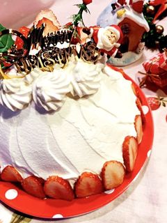 簡単♪♪可愛い♡クリスマスドームケーキ-レシピのメイン写真