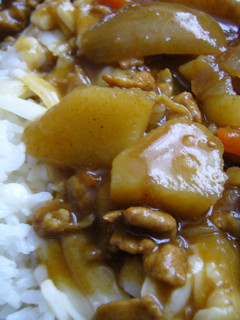 ウチの和風おろしカレー(*^艸^*)-レシピのメイン写真